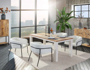 Gutmann Factory WINCHESTER Sessel 